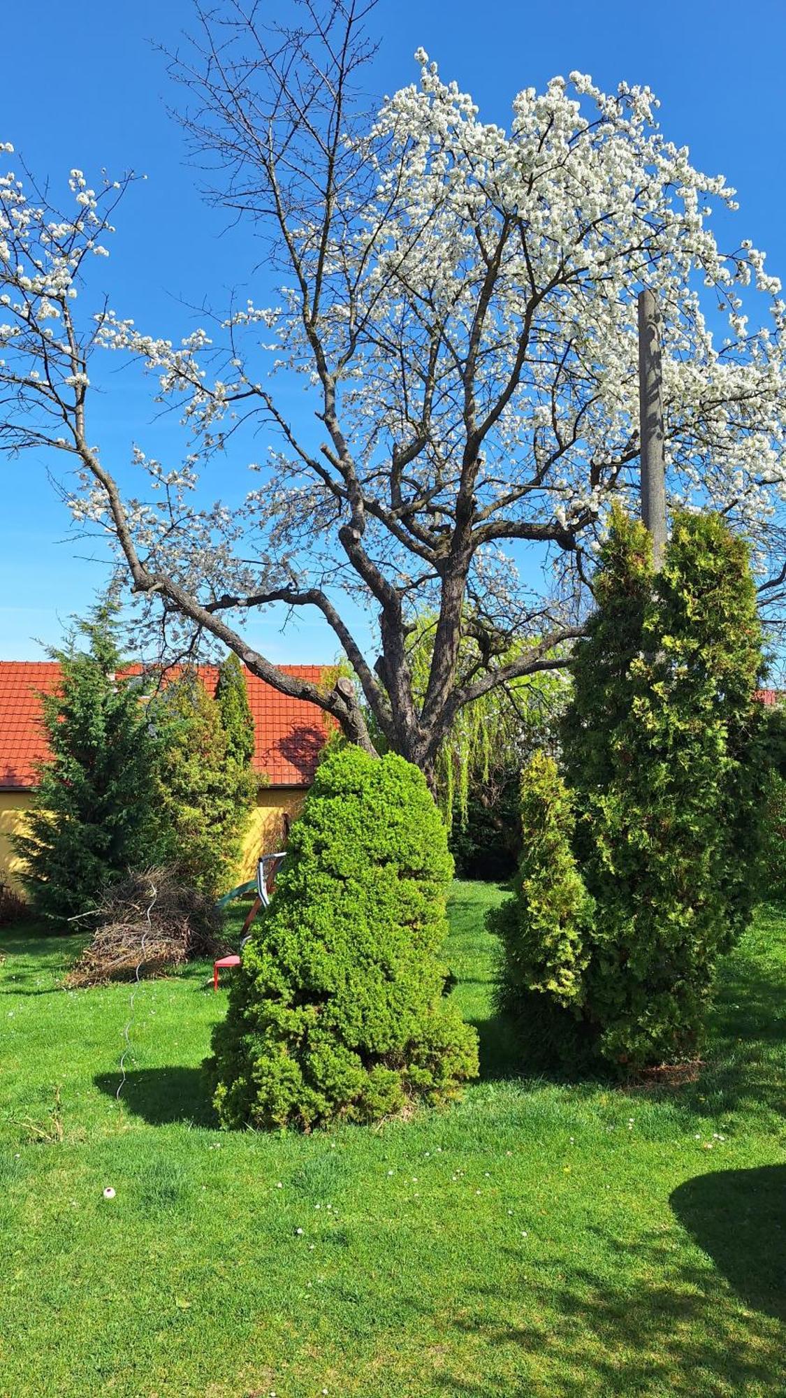 Apartamento Prague Zbraslav Old Garden Exterior foto